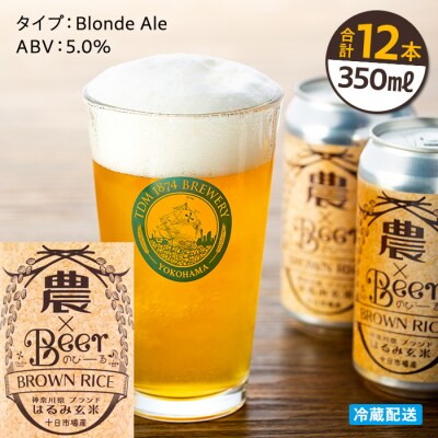 TDM 1874 Brewery 農×Beerはるみ玄米(350ml×12本)_ABG0009-01