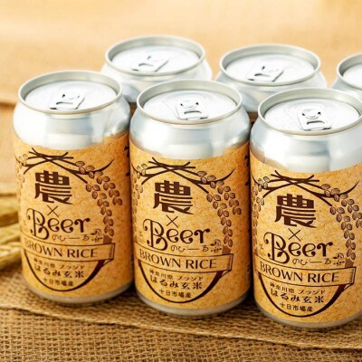 TDM 1874 Brewery 農×Beerはるみ玄米(350ml×12本)_ABG0009-01