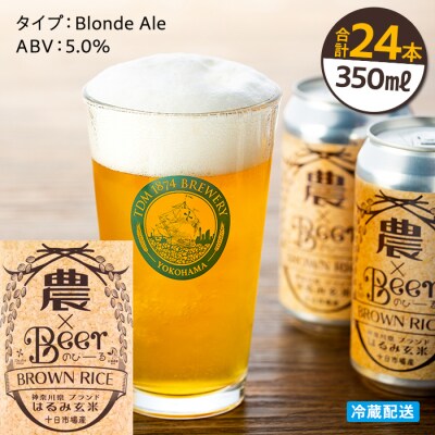 TDM 1874 Brewery 農×Beerはるみ玄米(350ml×24本)_ABG0009-02