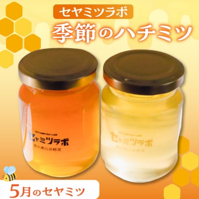 セヤミツラボの季節のハチミツ 5月のセヤミツ(NO.2)_AST0001-02