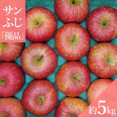 【2025年11月～12月発送分先行受付】「優品」山形のりんご(サンふじ)約5kg_H082(R7)