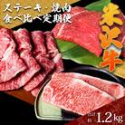 【定期便3ヶ月】合計約1.2kg!大場の「A5ランク」米沢牛が3ヶ月連続で届く!ステーキ等_B131
