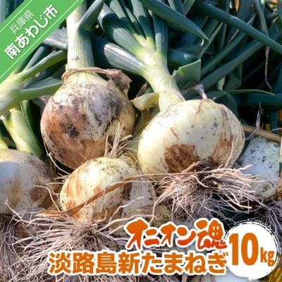 【オニオン魂】 淡路島新たまねぎ　10kg　◆配送4月上旬～