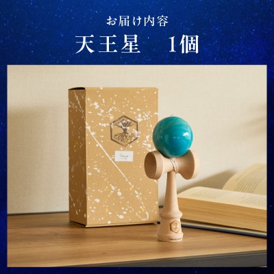 掌中の小宇宙 貝殻に蟹 達磨大師 根付 銘:光玉