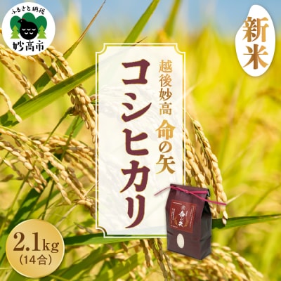 【先行受付】令和7年産 越後妙高命の矢 コシヒカリ 2.1kg