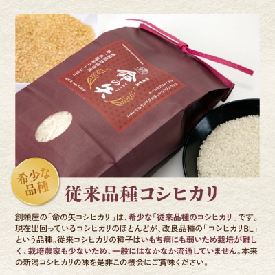 【先行受付】令和7年産 越後妙高命の矢 コシヒカリ 5.1kg