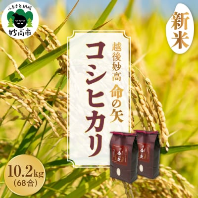【先行受付】令和7年産 越後妙高命の矢 コシヒカリ 10.2kg