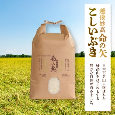 【先行受付】令和7年産 越後妙高命の矢 こしいぶき 5.1kg