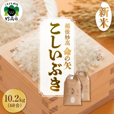 【先行受付】令和7年産 越後妙高命の矢 こしいぶき 10.2kg