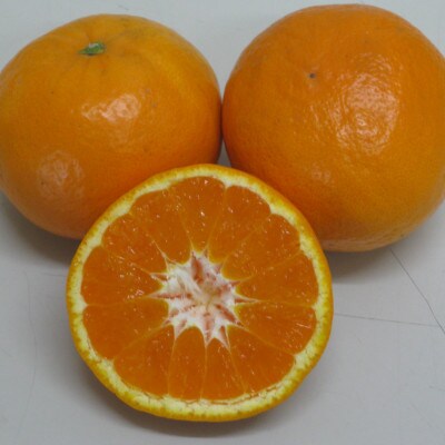 はれひめ　約5kg