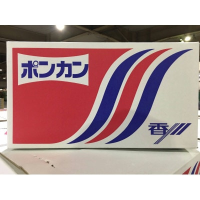 坂出市産　ぽんかん　約5kg