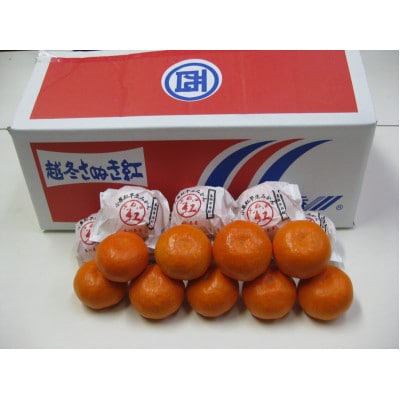 越冬完熟みかん(小原紅早生)　約3kg