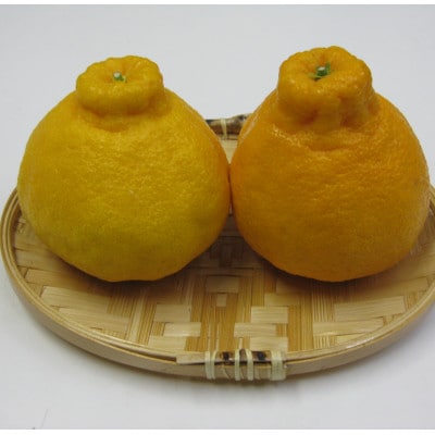 ハウスデコポン 約2.8kg 化粧箱入り