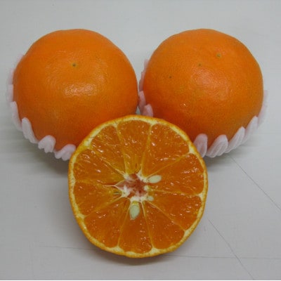 新品種柑橘「あすみ」約1kg 化粧箱入り