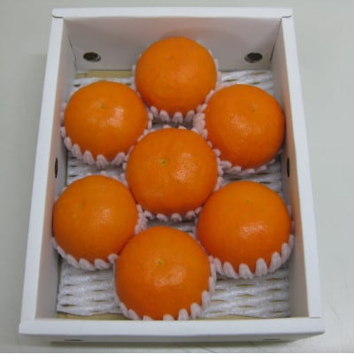 新品種柑橘「あすみ」約1kg 化粧箱入り