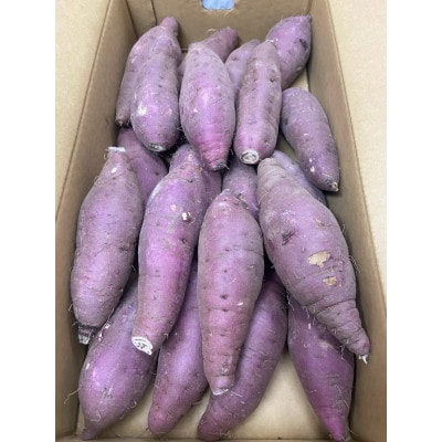 早掘り金時いも 約3kg×2箱