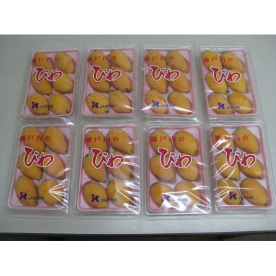 びわ 約1.8kg (4パック × 2箱)
