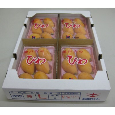 びわ 約1.8kg (4パック × 2箱)