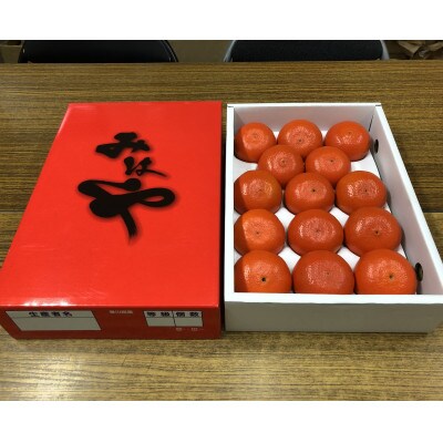 新品種みかん「みはや」約2kg化粧箱入り
