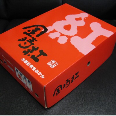 金時紅みかん 約2.5kg化粧箱入り