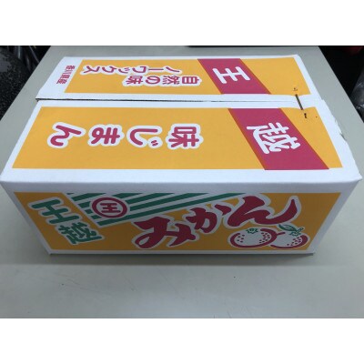 坂出市王越町の温州みかん 約10kg(約5kg×2箱)