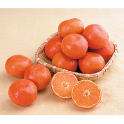 小原紅早生みかん 約5kg
