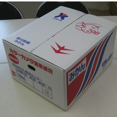 坂出みかん 約10kg