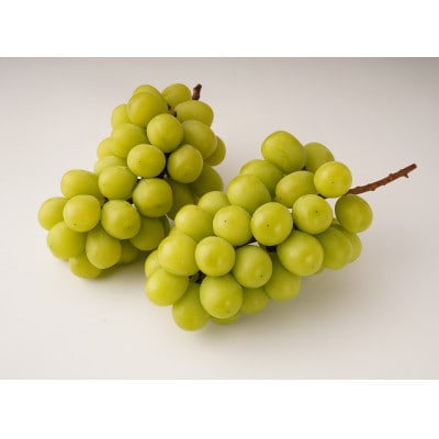 シャインマスカット　約1.2kg(2～3房)