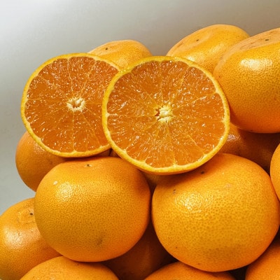 【期間限定!】濃厚でとろける果肉「せとか」　約3kg