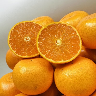 【期間限定!】濃厚でとろける果肉「せとか」　約5kg