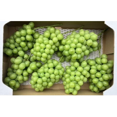 加工品作りに最適!!　加工用ぶどう　約5kg