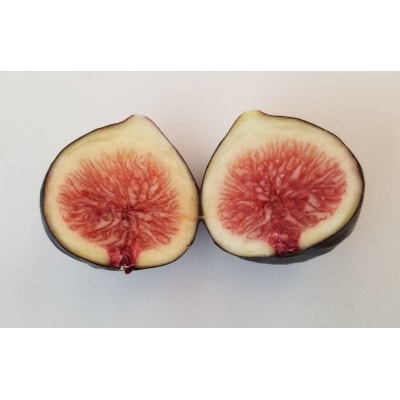 ご家庭用いちじく詰合せ(サイズ混合)　約1kg