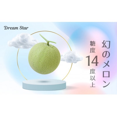 さぬきメロン Dream Star 1.1kg以上