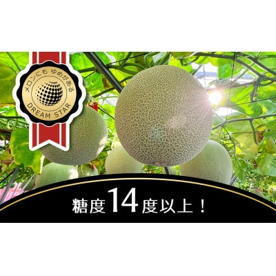 さぬきメロン Dream Star 1.3kg以上