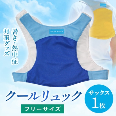 暑さ・熱中症対策グッズ クールリュック1枚　フリーサイズ　サックス