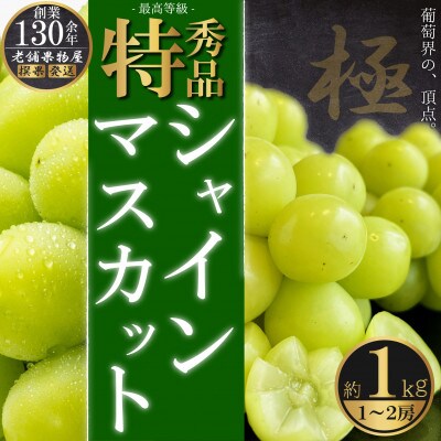 【2025年8月中旬より発送】特秀品!シャインマスカット　約1kg(1～2房)