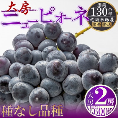 種なし葡萄!大房ニューピオーネ　2房(1房あたり約600g)