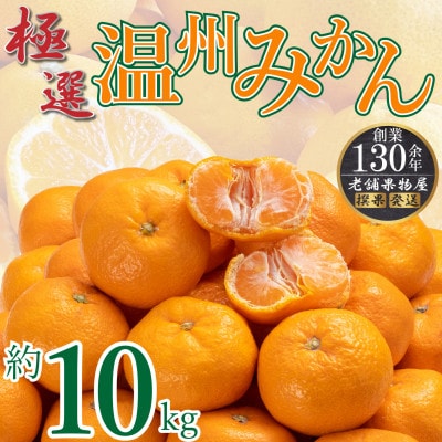 【2025年11月上旬より順次発送】極撰!温州みかん　約10kg