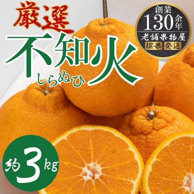 【2026年3月上旬より順次発送】濃厚ぷりっぷり!厳選「不知火(しらぬひ)」約3kg