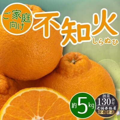 【2026年3月上旬より順次発送】濃厚ぷりっぷり!ご家庭向け「不知火(しらぬひ)」約5kg