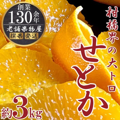 【2026年2月中旬より順次発送】柑橘界の大トロ!せとか　約3kg