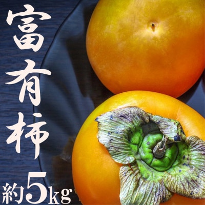 【2024年発送】甘柿の王様!富有柿　約5kg