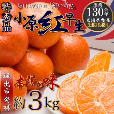 【2025年11月中旬より順次発送】特秀品!「小原紅早生みかん」約3kg/坂出発祥の真っ紅なお蜜柑