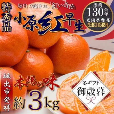 【2026年12月上旬より順次発送】【御歳暮ギフト/熨斗対応】特秀品!小原紅早生みかん　約3kg
