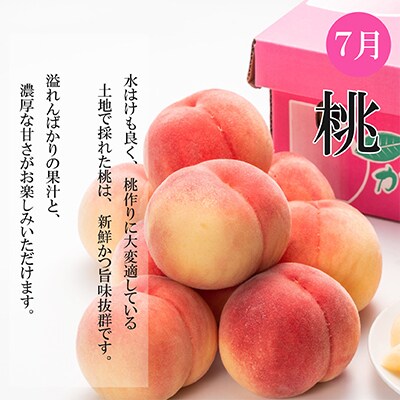 【発送月固定定期便】夏のいいとこどり定期便(7・8・9月)全3回