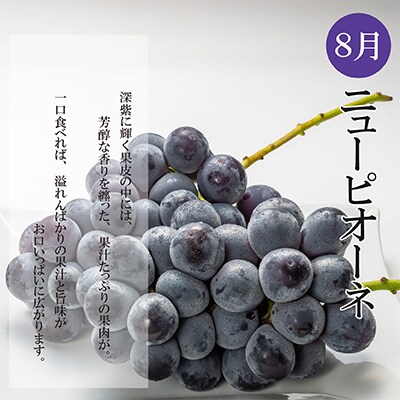 【発送月固定定期便】夏のいいとこどり定期便(7・8・9月)全3回
