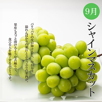 【発送月固定定期便】夏のいいとこどり定期便(7・8・9月)全3回