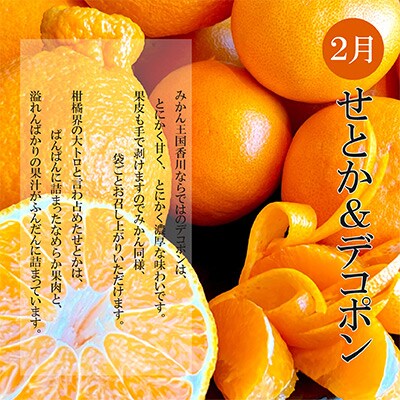 【発送月固定定期便】冬のいいとこどり定期便(12・1・2月)全3回