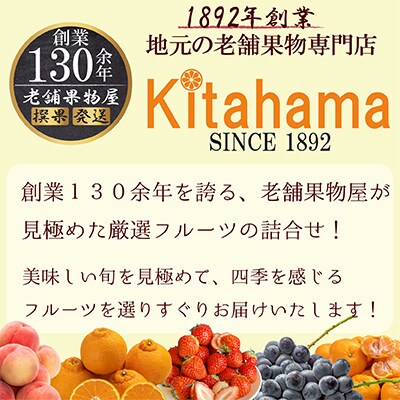【毎月定期便】旬を見極めた厳選フルーツ詰合せ【半月セット】(3～5品)全3回