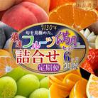 【毎月定期便】旬を見極めた厳選フルーツ詰合せ【満月セット】(5～8品)全6回